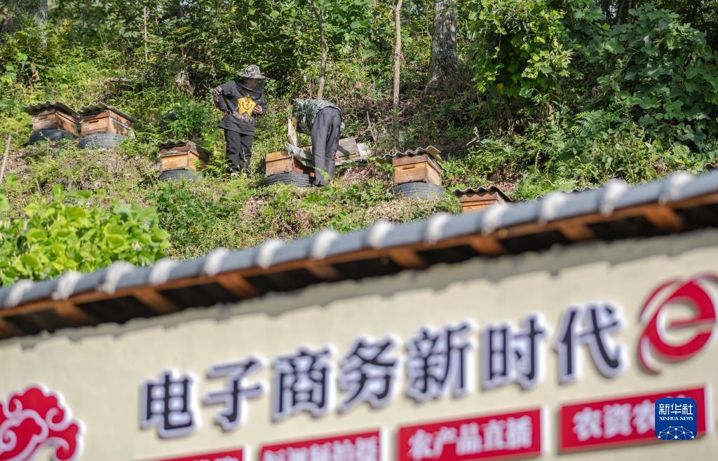 利记官网a
